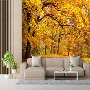 Duvar Kağıdı Son Baharda Orman F1208