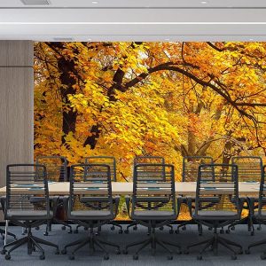 Duvar Kağıdı Son Baharda Orman F1208