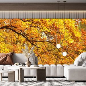 Duvar Kağıdı Son Baharda Orman F1208