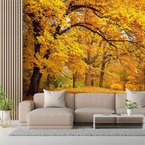 Duvar Kağıdı Son Baharda Orman F1208