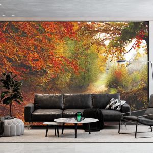 Duvar Kağıdı Orman F1211