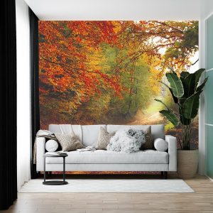 Duvar Kağıdı Orman F1211