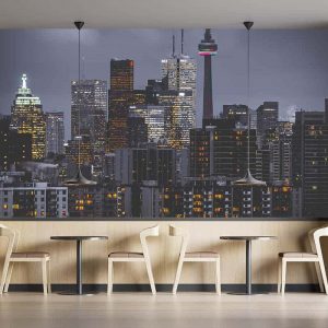 Duvar Kağıdı Toronta F1226