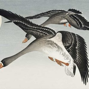 Duvar Kağıdı Leylekler C1071