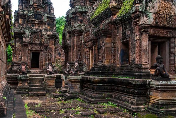 Angkor Vat Tapınak Duvar Kağıdı F1587