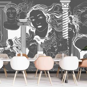 Gri Venüs Duvar Kağıdı H0068