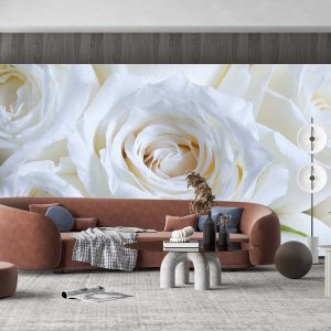 Beyaz Gül Duvar Kağıdı P0030