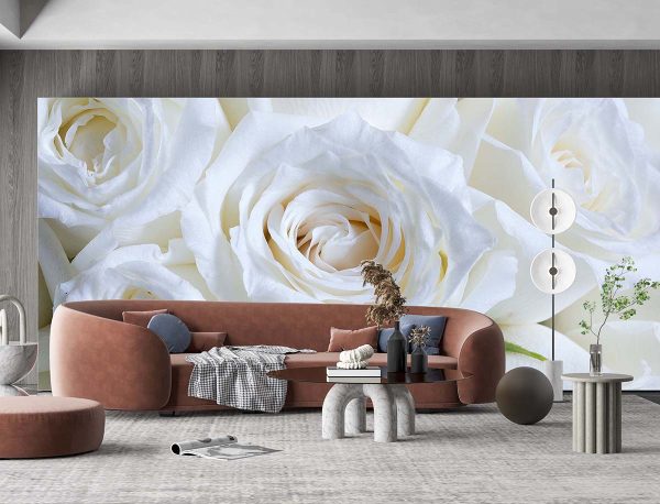 Beyaz Gül Duvar Kağıdı P0030