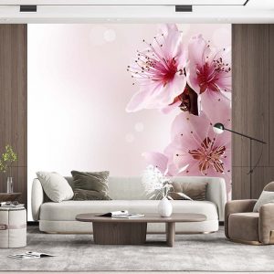 Kiraz Çiçeği Duvar Kağıdı P0041