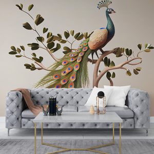 Tavus Kuşu Duvar Kağıtları Beyaz Arkaplan YH-00156