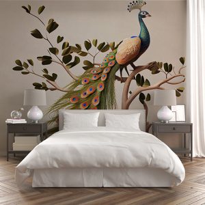 Tavus Kuşu Duvar Kağıtları Beyaz Arkaplan YH-00156