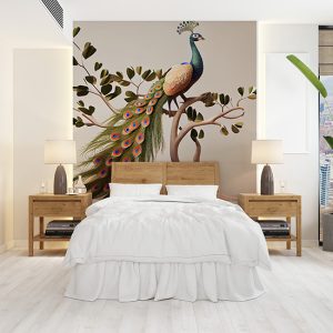 Tavus Kuşu Duvar Kağıtları Beyaz Arkaplan YH-00156