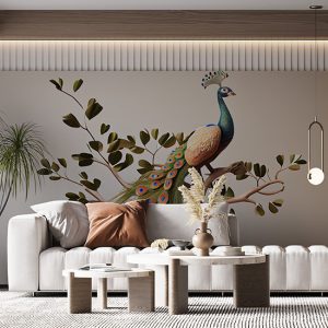 Tavus Kuşu Duvar Kağıtları Beyaz Arkaplan YH-00156