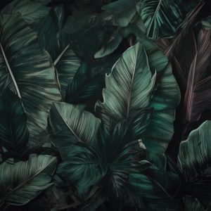 Tropikal 3D Yapraklar Duvar Kağıtları YF-00812 Modelleri ve Fiyatları Dekoros'da. Tüm Türkiye'ye Poster Duvar Kağıdı Gönderilir.