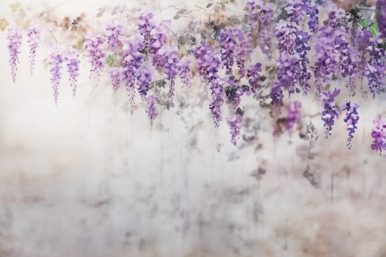 Mor Salkım Çiçekler Tek Parça Salon Duvar Kağıdı YF-02359