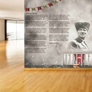 Atatürk İlkokul ve Lise Duvar Kağıdı Tek Parça DKO-5