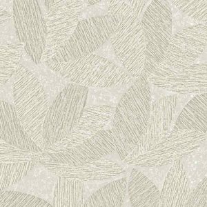 Muse Duvar Kağıtları 25109-2