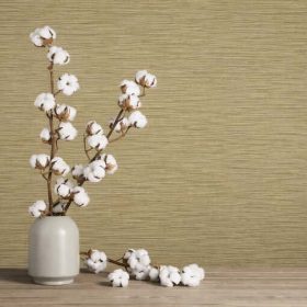 Beta Duvar Kağıtları -1