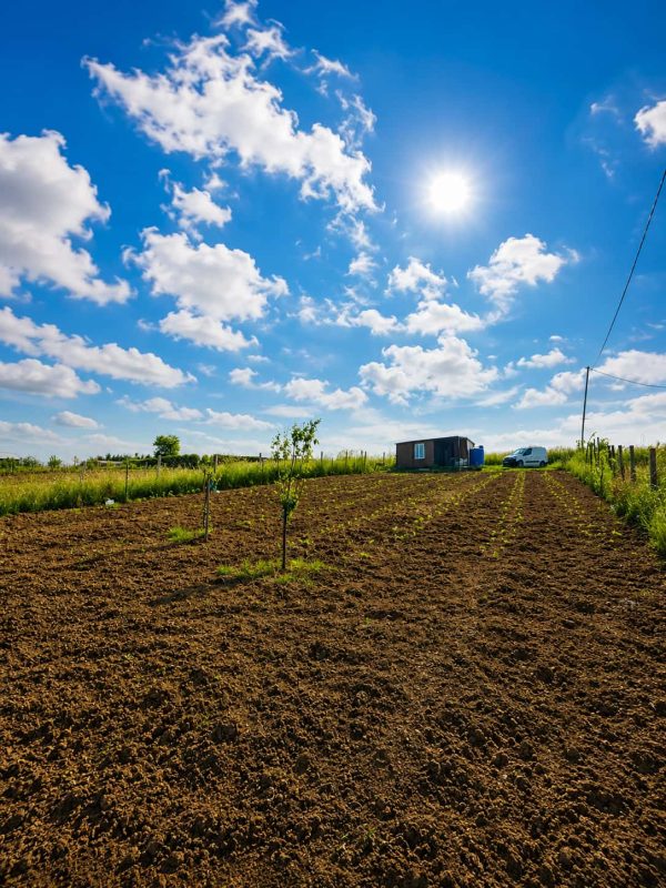 İmar Planının Dibinde 850 m² Satılık Hisseli Tarla