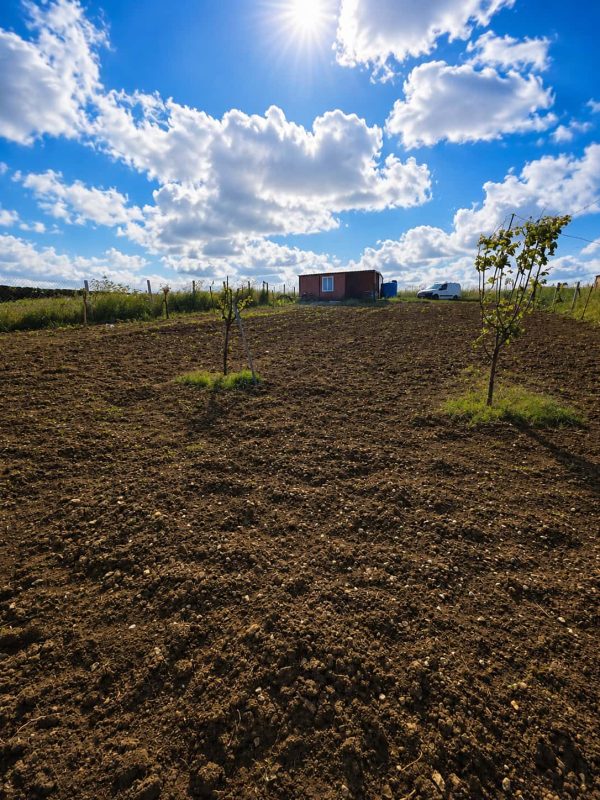 İmar Planının Dibinde 850 m² Satılık Hisseli Tarla