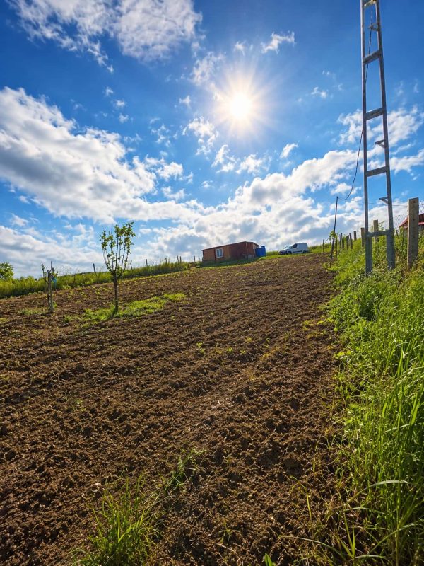 İmar Planının Dibinde 850 m² Satılık Hisseli Tarla