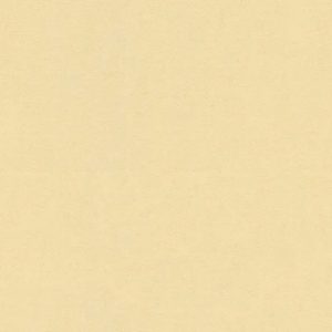 Versace VI Duvar Kağıdı 37050-7