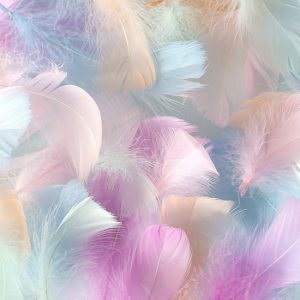 Soft lila, mor, açık turkuaz, tatlı pembe ve somon sarısı geçişli uçuşan kuş tüylerini ve yumuşak suluboya dokularını gösteren yüksek çözünürlüklü desenli duvar kağıdı görseli.