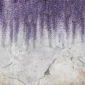 Eskitme mermer ve damarlı taş dokulu açık gri zemin üzerine tavandan aşağı süzülen canlı mor ve leylak tonlarında mor salkım (wisteria) çiçek detaylarını gösteren yüksek çözünürlüklü desenli duvar kağıdı görseli.