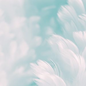 Soft turkuaz, bebek mavisi ve pastel su yeşili renk geçişli sulu boya zemin üzerinde süzülen yumuşak dokulu beyaz tüylerin detaylarını ve fırça darbesi efektlerini gösteren yüksek çözünürlüklü desenli duvar kağıdı görseli.